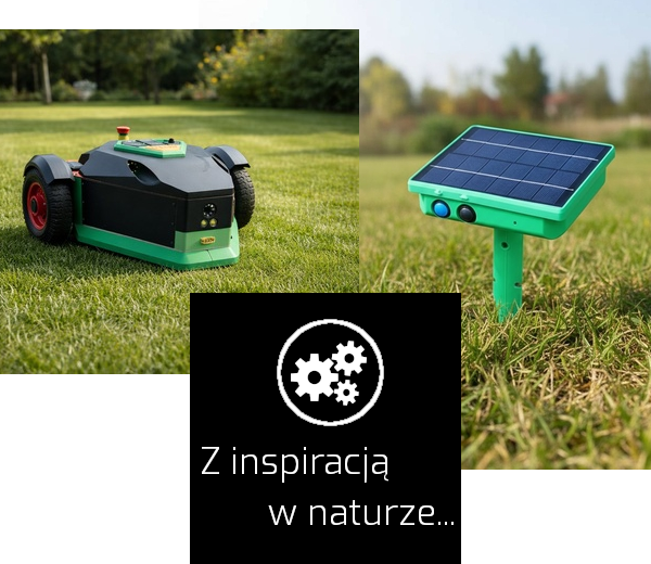 Z inspiracja czarne