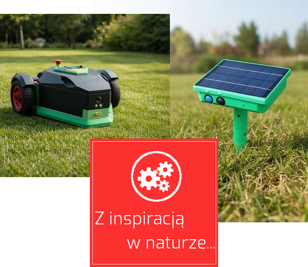 Z inspiracja czerwony